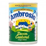 Ambrosia DEVON CUSTARD 400g - Best Before: 05/2024